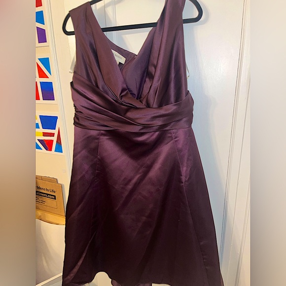 David's Bridal Dresses & Skirts - Size 18 plum David’s Bridal dress. Knee length, true to size. Only worn once!
